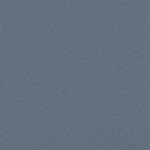 Сигнальный серый 700405.jpg